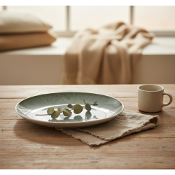 Porcelain Plate 10.5 Inch